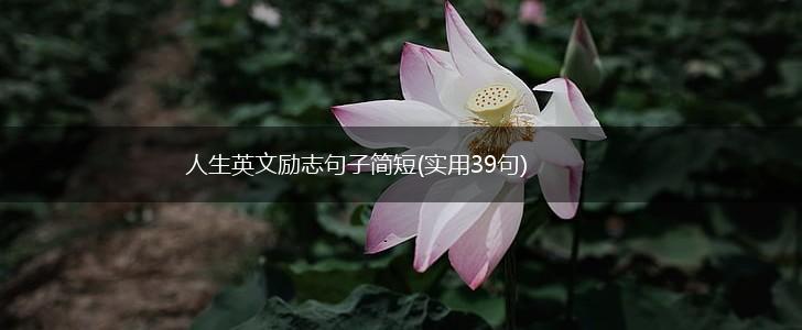 人生英文励志句子简短(实用39句),第1张