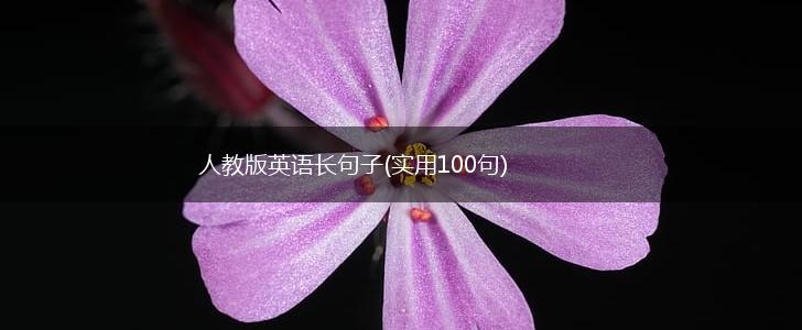 人教版英语长句子(实用100句),第1张