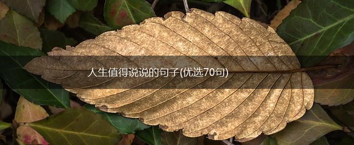 人生值得说说的句子(优选70句),第1张