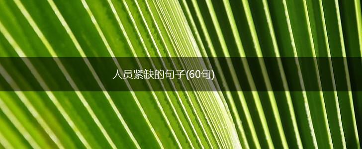 人员紧缺的句子(60句),第1张