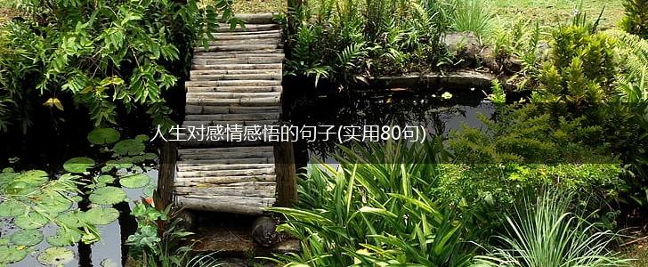 人生对感情感悟的句子(实用80句),第1张