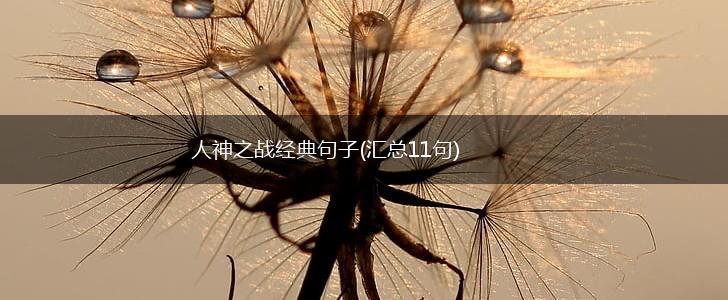 人神之战经典句子(汇总11句),第1张