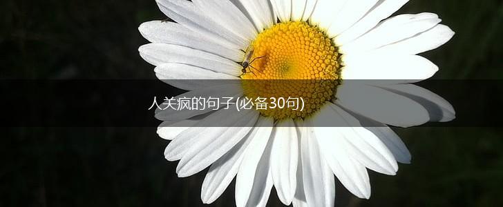 人关疯的句子(必备30句),第1张