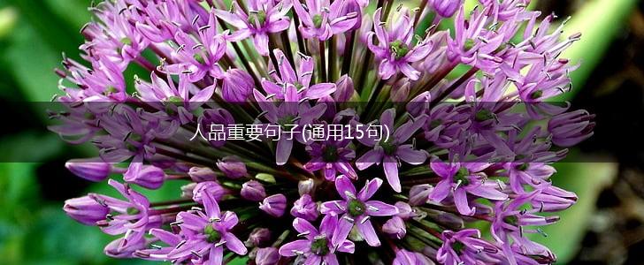 人品重要句子(通用15句),第1张