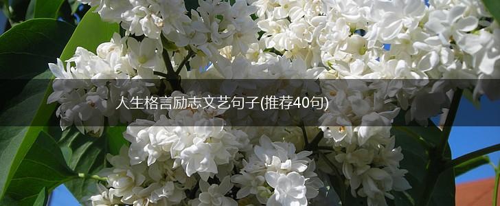 人生格言励志文艺句子(推荐40句),第1张