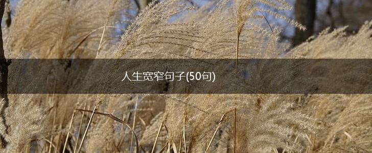 人生宽窄句子(50句),第1张