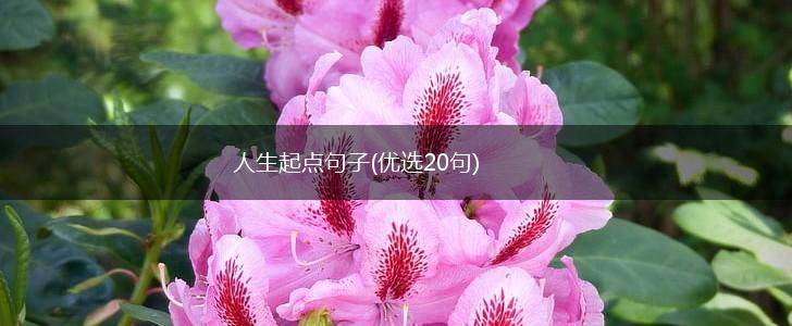 人生起点句子(优选20句),第1张