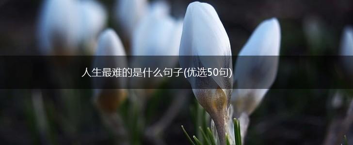 人生最难的是什么句子(优选50句),第1张