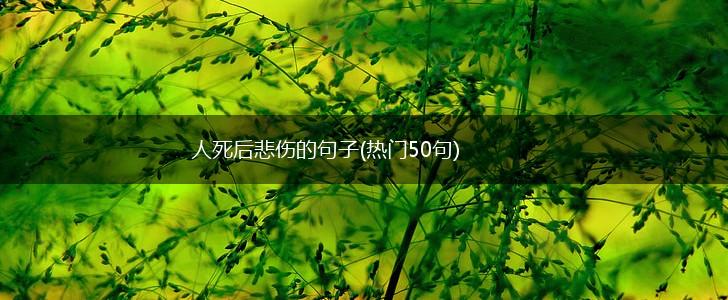 人死后悲伤的句子(热门50句),第1张
