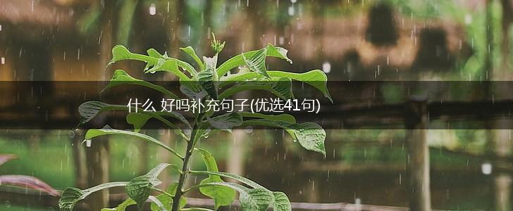 什么 好吗补充句子(优选41句),第1张