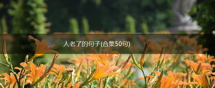 人老了的句子(合集50句),第1张