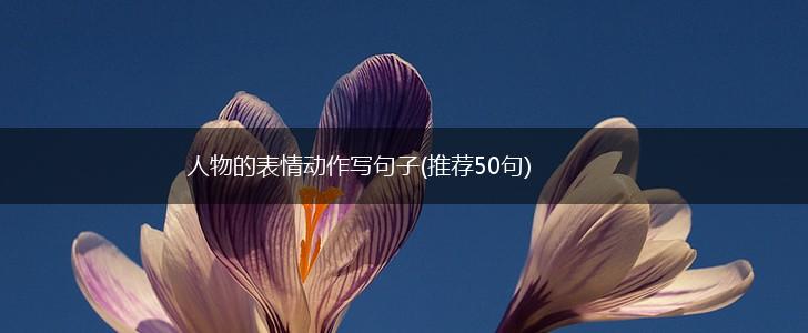 人物的表情动作写句子(推荐50句),第1张