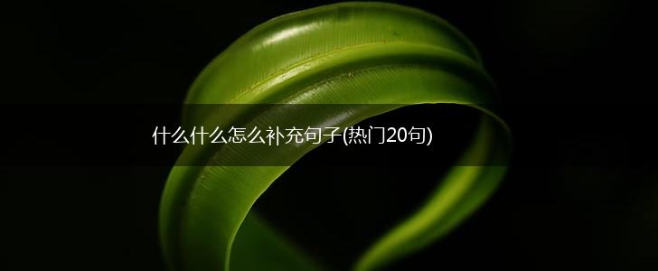 什么什么怎么补充句子(热门20句),第1张