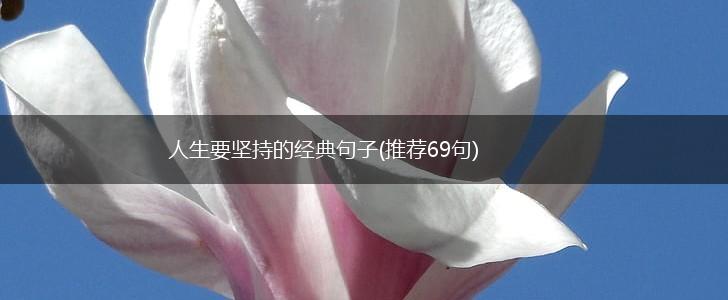 人生要坚持的经典句子(推荐69句),第1张