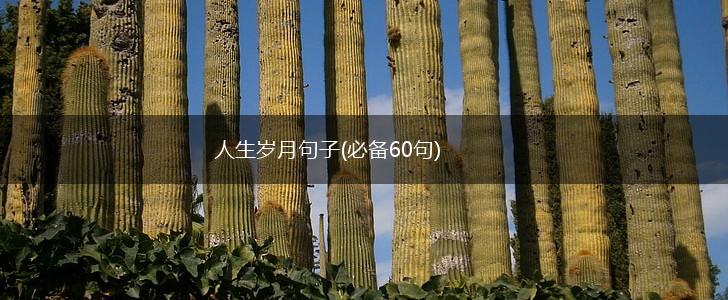 人生岁月句子(必备60句),第1张