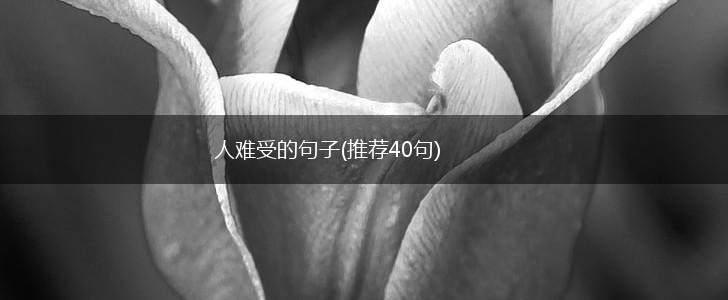 人难受的句子(推荐40句),第1张