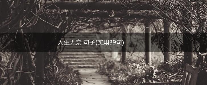 人生无奈 句子(实用39句),第1张