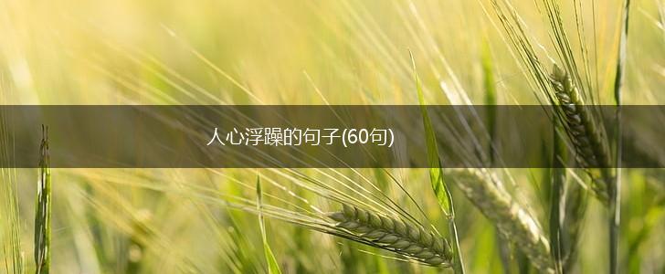 人心浮躁的句子(60句),第1张