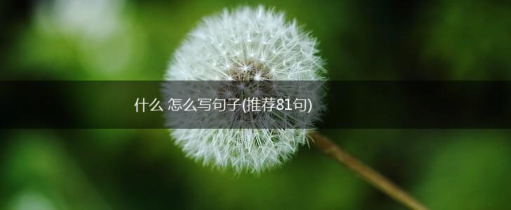 什么 怎么写句子(推荐81句),第1张