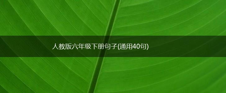 人教版六年级下册句子(通用40句),第1张