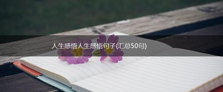 人生感悟人生感悟句子(汇总50句),第1张