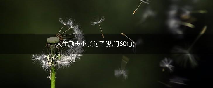 人生励志小长句子(热门60句),第1张
