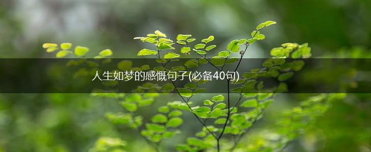 人生如梦的感慨句子(必备40句),第1张