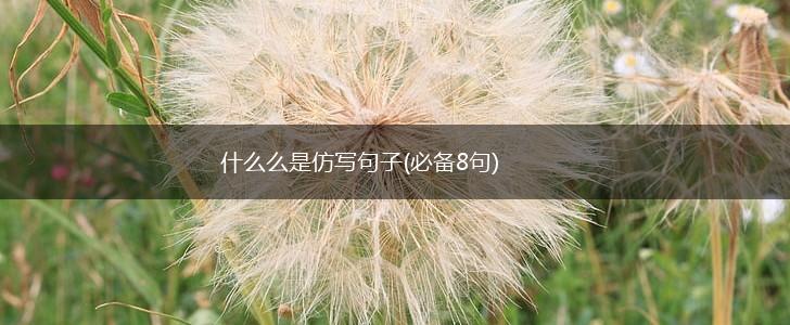 什么么是仿写句子(必备8句),第1张