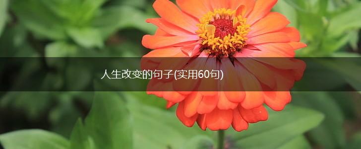 人生改变的句子(实用60句),第1张