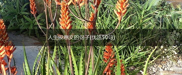 人生没意义的句子(优选50句),第1张