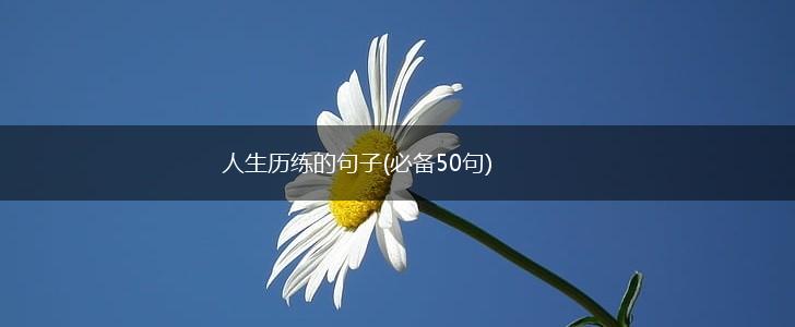 人生历练的句子(必备50句),第1张