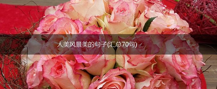 人美风景美的句子(汇总70句),第1张