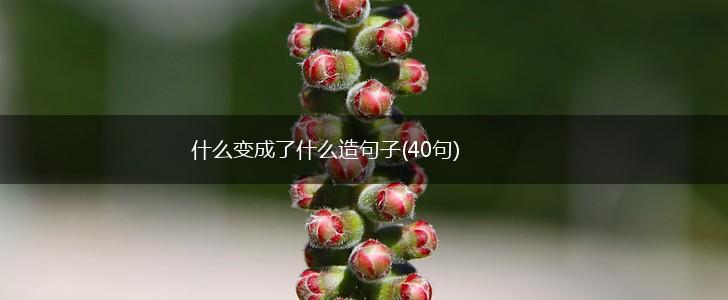 什么变成了什么造句子(40句),第1张