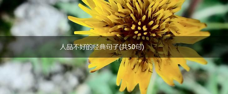 人品不好的经典句子(共50句),第1张