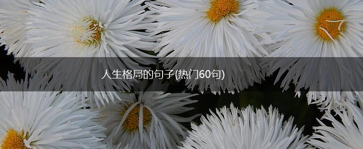 人生格局的句子(热门60句),第1张