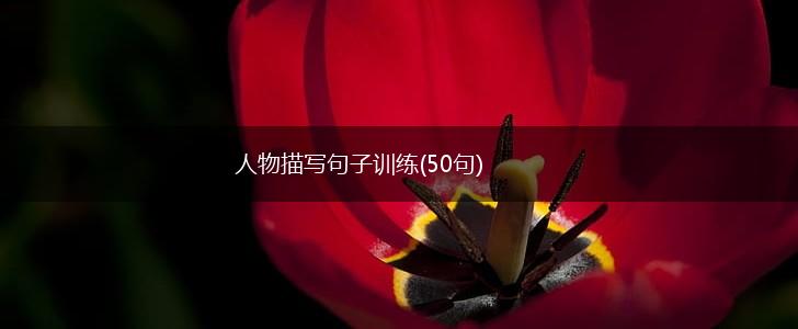 人物描写句子训练(50句),第1张
