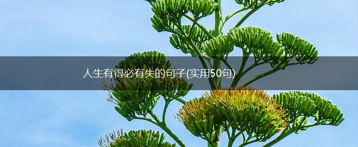人生有得必有失的句子(实用50句),第1张