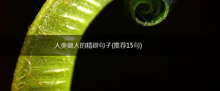 人类做人的精辟句子(推荐15句),第1张