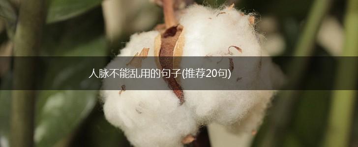 人脉不能乱用的句子(推荐20句),第1张