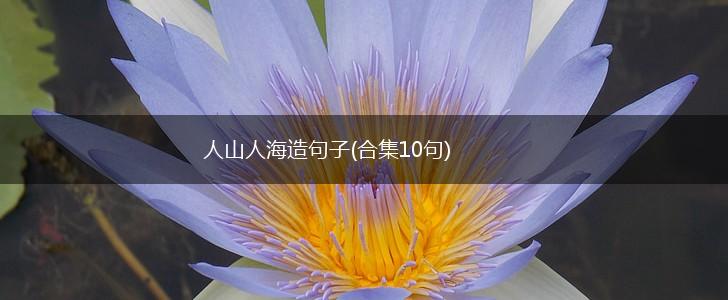 人山人海造句子(合集10句),第1张