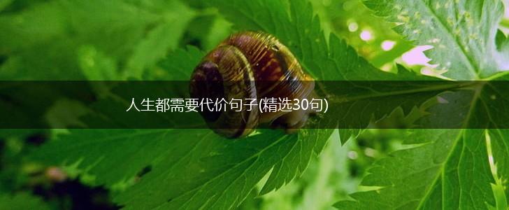 人生都需要代价句子(精选30句),第1张