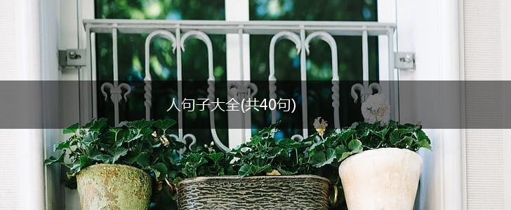 人句子大全(共40句),第1张
