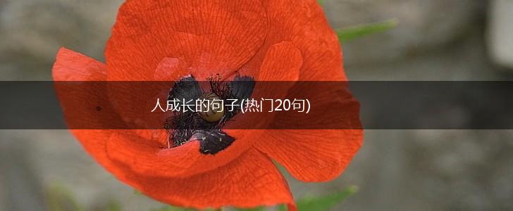 人成长的句子(热门20句),第1张