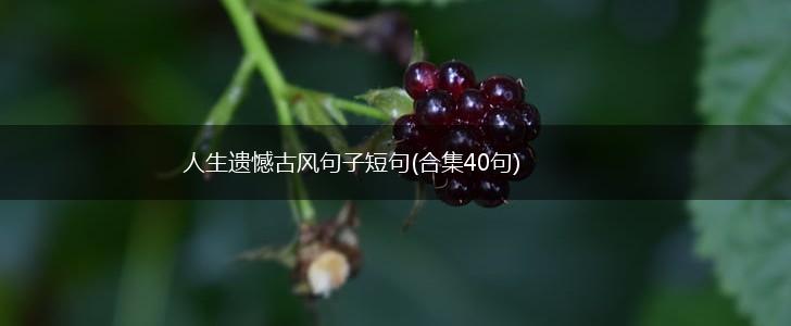 人生遗憾古风句子短句(合集40句),第1张