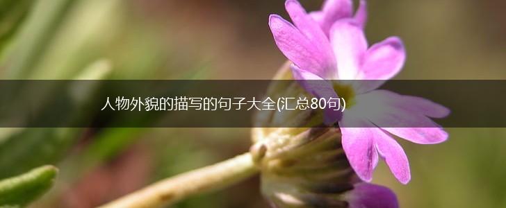 人物外貌的描写的句子大全(汇总80句),第1张