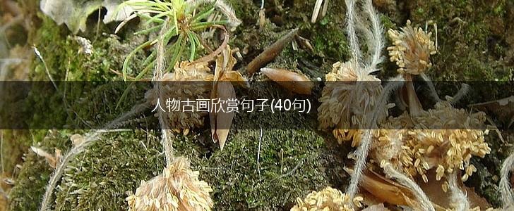人物古画欣赏句子(40句),第1张