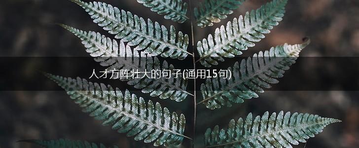 人才方阵壮大的句子(通用15句),第1张