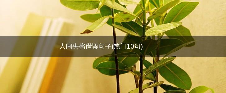 人间失格借鉴句子(热门10句),第1张