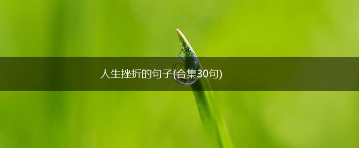 人生挫折的句子(合集30句),第1张