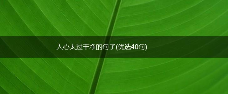 人心太过干净的句子(优选40句),第1张